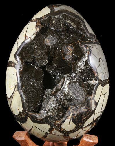 Septarian Dragon Egg Geode - Black Crystals #55490
